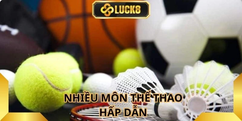 nhung-bo-mon-the-thao-tao-nen-suc-hut-cho-sanh