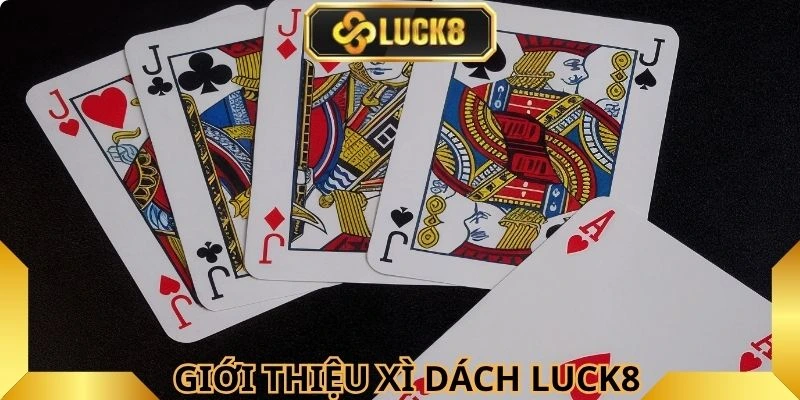 Game Xì dách Luck8 được nhiều thành viên quan tâm